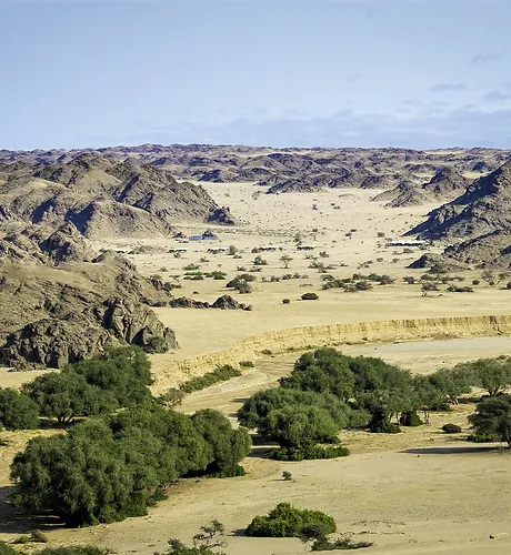Skeleton Coast